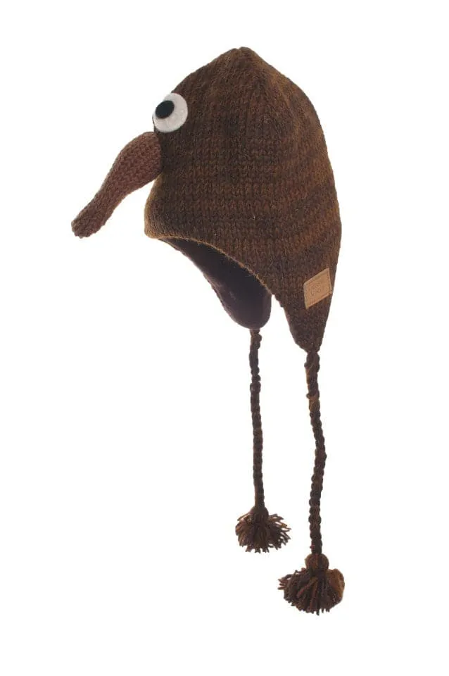 Kiki the Kiwi