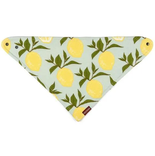 Milkbarn Kerchief Bib ~ Various Styles
